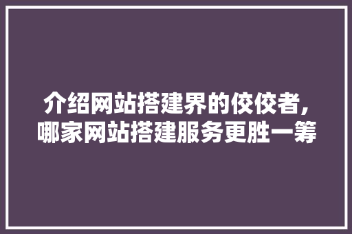 介绍网站搭建界的佼佼者,哪家网站搭建服务更胜一筹
