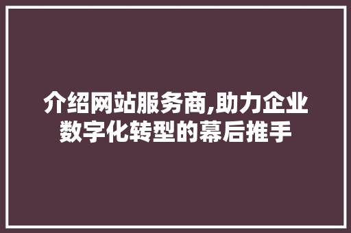 介绍网站服务商,助力企业数字化转型的幕后推手 介绍网站服务商,助力企业数字化转型的幕后推手 GoogleSEO