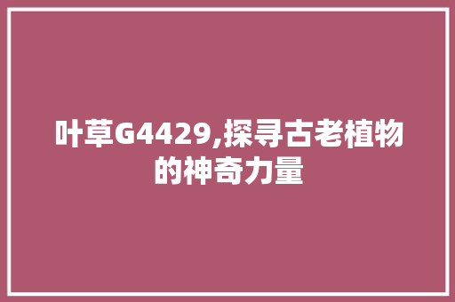 叶草G4429,探寻古老植物的神奇力量 叶草G4429,探寻古老植物的神奇力量 必应SEO