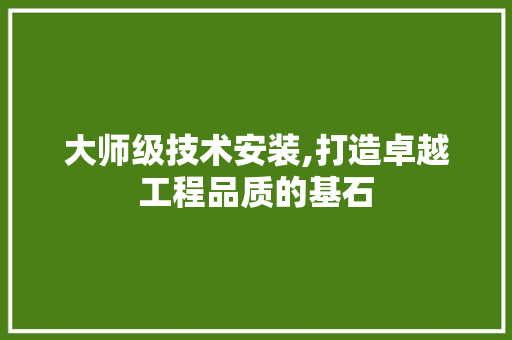 大师级技术安装,打造卓越工程品质的基石