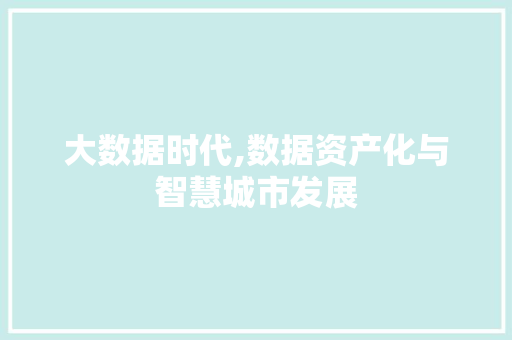 大数据时代,数据资产化与智慧城市发展 大数据时代,数据资产化与智慧城市发展 必应SEO
