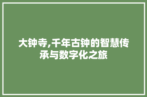 大钟寺,千年古钟的智慧传承与数字化之旅 大钟寺,千年古钟的智慧传承与数字化之旅 百度SEO