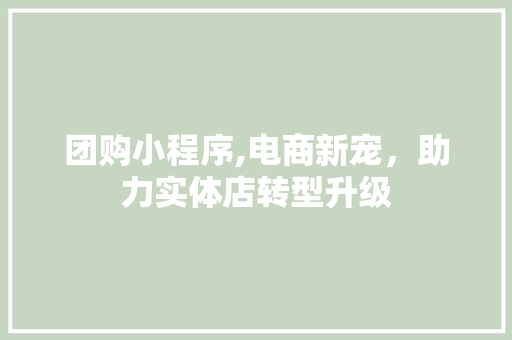 团购小程序,电商新宠，助力实体店转型升级 团购小程序,电商新宠，助力实体店转型升级 必应SEO