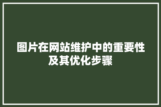图片在网站维护中的重要性及其优化步骤 图片在网站维护中的重要性及其优化步骤 百度SEO