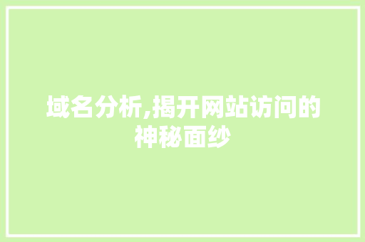 域名分析,揭开网站访问的神秘面纱 域名分析,揭开网站访问的神秘面纱 必应SEO