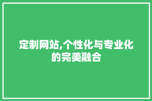 定制网站,个性化与专业化的完美融合 定制网站,个性化与专业化的完美融合 百度SEO
