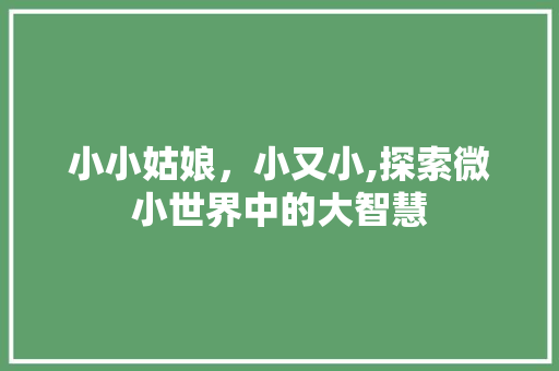 小小姑娘，小又小,探索微小世界中的大智慧 小小姑娘，小又小,探索微小世界中的大智慧 搜狗SEO