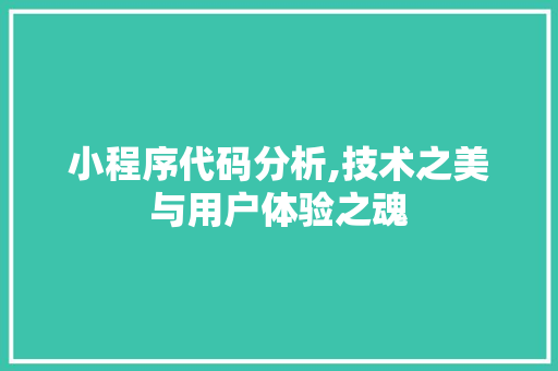 小程序代码分析,技术之美与用户体验之魂 小程序代码分析,技术之美与用户体验之魂 必应SEO