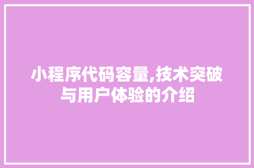 小程序代码容量,技术突破与用户体验的介绍 小程序代码容量,技术突破与用户体验的介绍 神马SEO