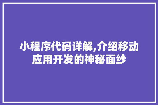 小程序代码详解,介绍移动应用开发的神秘面纱 小程序代码详解,介绍移动应用开发的神秘面纱 必应SEO