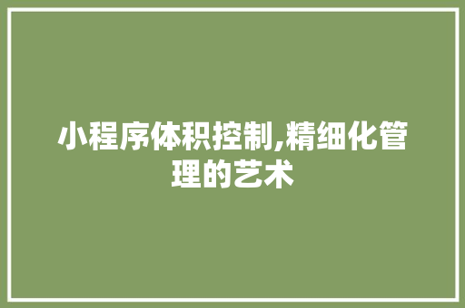 小程序体积控制,精细化管理的艺术