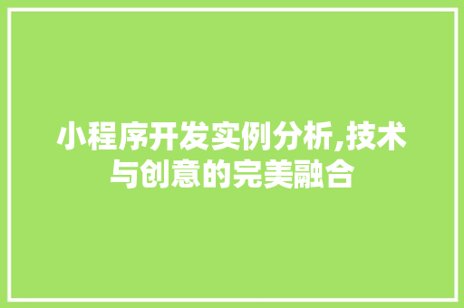 小程序开发实例分析,技术与创意的完美融合 小程序开发实例分析,技术与创意的完美融合 神马SEO