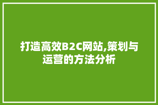 打造高效B2C网站,策划与运营的方法分析