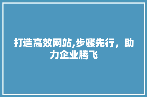 打造高效网站,步骤先行，助力企业腾飞