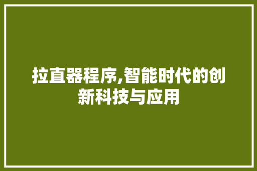 拉直器程序,智能时代的创新科技与应用