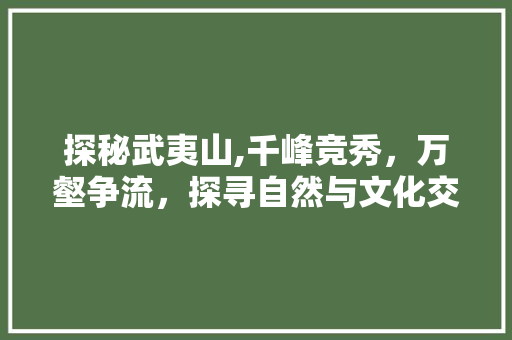 探秘武夷山,千峰竞秀，万壑争流，探寻自然与文化交融的绝美画卷 探秘武夷山,千峰竞秀，万壑争流，探寻自然与文化交融的绝美画卷 百度SEO
