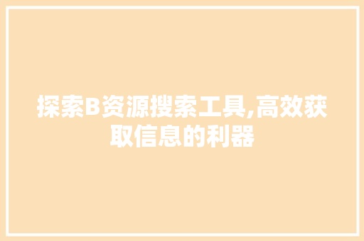 探索B资源搜索工具,高效获取信息的利器