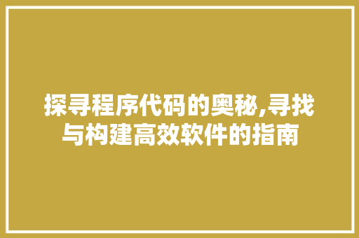探寻程序代码的奥秘,寻找与构建高效软件的指南