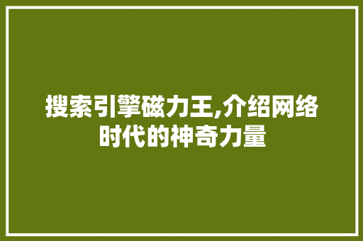 搜索引擎磁力王,介绍网络时代的神奇力量 搜索引擎磁力王,介绍网络时代的神奇力量 GoogleSEO