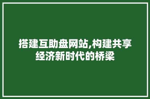 搭建互助盘网站,构建共享经济新时代的桥梁 搭建互助盘网站,构建共享经济新时代的桥梁 必应SEO
