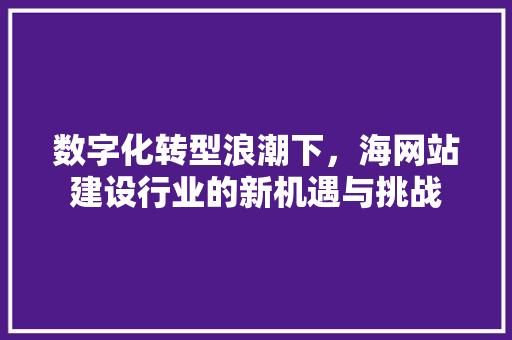 数字化转型浪潮下，海网站建设行业的新机遇与挑战 数字化转型浪潮下，海网站建设行业的新机遇与挑战 必应SEO