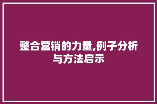 整合营销的力量,例子分析与方法启示 整合营销的力量,例子分析与方法启示 神马SEO