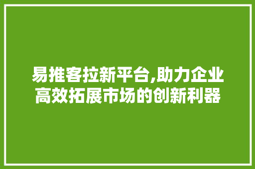 易推客拉新平台,助力企业高效拓展市场的创新利器