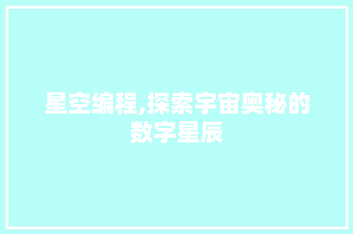 星空编程,探索宇宙奥秘的数字星辰 星空编程,探索宇宙奥秘的数字星辰 神马SEO