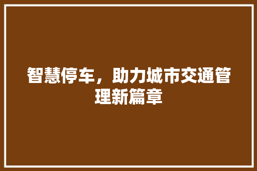 智慧停车，助力城市交通管理新篇章