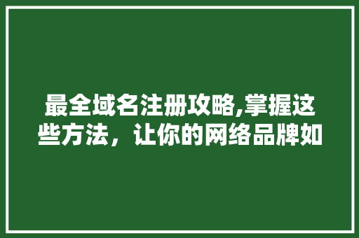 最全域名注册攻略,掌握这些方法，让你的网络品牌如虎添翼 最全域名注册攻略,掌握这些方法，让你的网络品牌如虎添翼 神马SEO