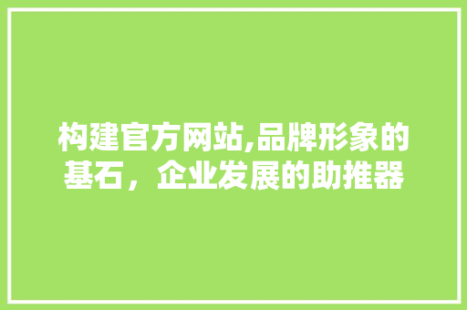 构建官方网站,品牌形象的基石，企业发展的助推器 构建官方网站,品牌形象的基石，企业发展的助推器 GoogleSEO
