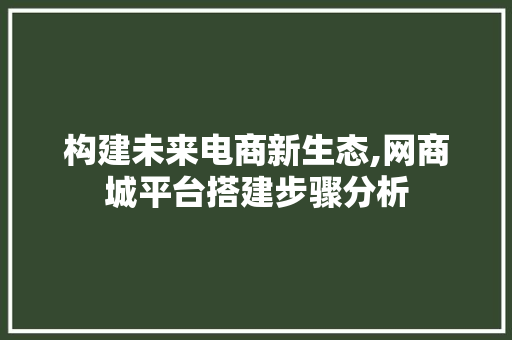 构建未来电商新生态,网商城平台搭建步骤分析 构建未来电商新生态,网商城平台搭建步骤分析 神马SEO