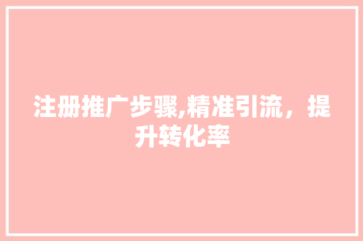 注册推广步骤,精准引流，提升转化率 注册推广步骤,精准引流，提升转化率 百度SEO