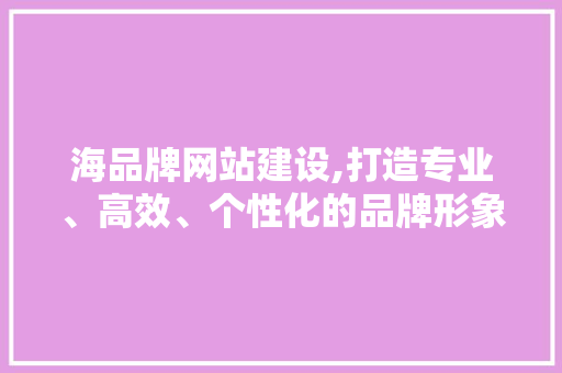 海品牌网站建设,打造专业、高效、个性化的品牌形象