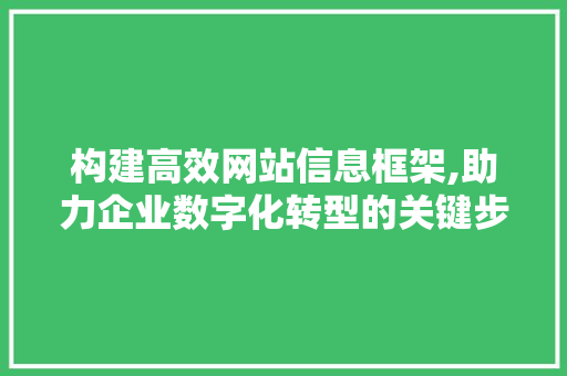 构建高效网站信息框架,助力企业数字化转型的关键步骤