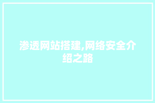 渗透网站搭建,网络安全介绍之路 渗透网站搭建,网络安全介绍之路 神马SEO