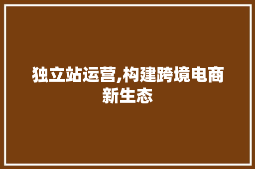 独立站运营,构建跨境电商新生态