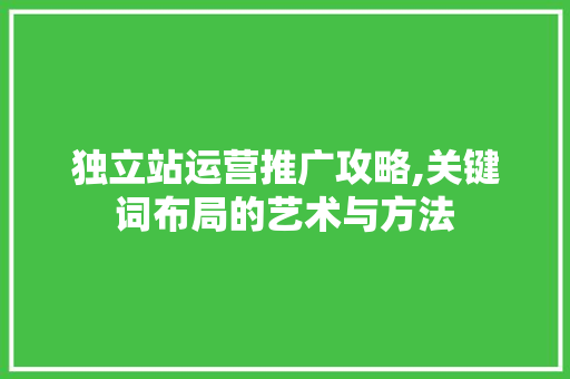 独立站运营推广攻略,关键词布局的艺术与方法