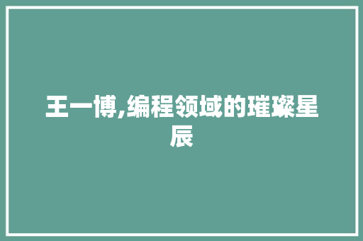 王一博,编程领域的璀璨星辰 王一博,编程领域的璀璨星辰 神马SEO