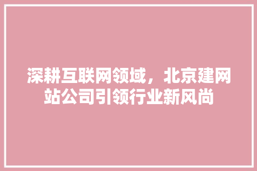 深耕互联网领域，北京建网站公司引领行业新风尚 深耕互联网领域，北京建网站公司引领行业新风尚 神马SEO