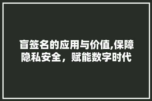 盲签名的应用与价值,保障隐私安全，赋能数字时代 盲签名的应用与价值,保障隐私安全，赋能数字时代 GoogleSEO