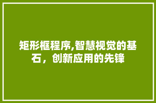 矩形框程序,智慧视觉的基石，创新应用的先锋 矩形框程序,智慧视觉的基石，创新应用的先锋 神马SEO