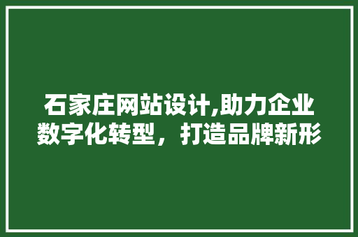 石家庄网站设计,助力企业数字化转型，打造品牌新形象 石家庄网站设计,助力企业数字化转型，打造品牌新形象 必应SEO