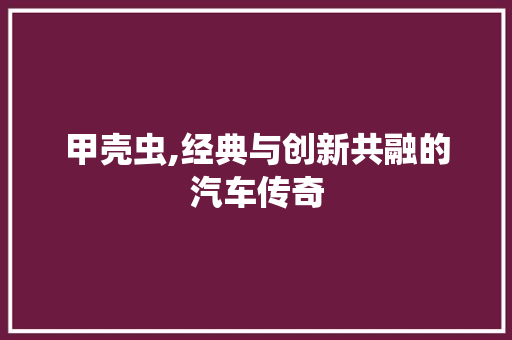 甲壳虫,经典与创新共融的汽车传奇 甲壳虫,经典与创新共融的汽车传奇 神马SEO