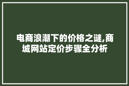 电商浪潮下的价格之谜,商城网站定价步骤全分析 电商浪潮下的价格之谜,商城网站定价步骤全分析 神马SEO