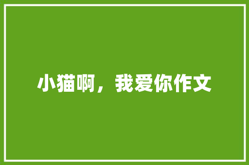 纽约网站设计,艺术与科技的完美融合 纽约网站设计,艺术与科技的完美融合 神马SEO