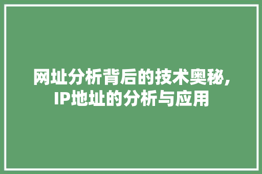 网址分析背后的技术奥秘,IP地址的分析与应用 网址分析背后的技术奥秘,IP地址的分析与应用 GoogleSEO