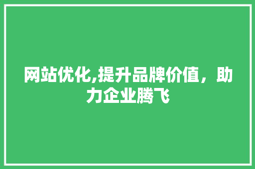 网站优化,提升品牌价值，助力企业腾飞 网站优化,提升品牌价值，助力企业腾飞 GoogleSEO