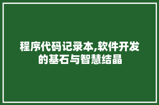 程序代码记录本,软件开发的基石与智慧结晶