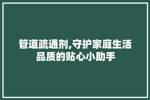 管道疏通剂,守护家庭生活品质的贴心小助手 管道疏通剂,守护家庭生活品质的贴心小助手 必应SEO